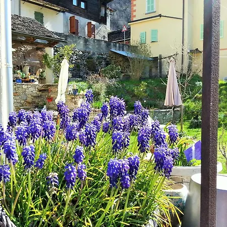 Bed & Breakfast Il Calicanto